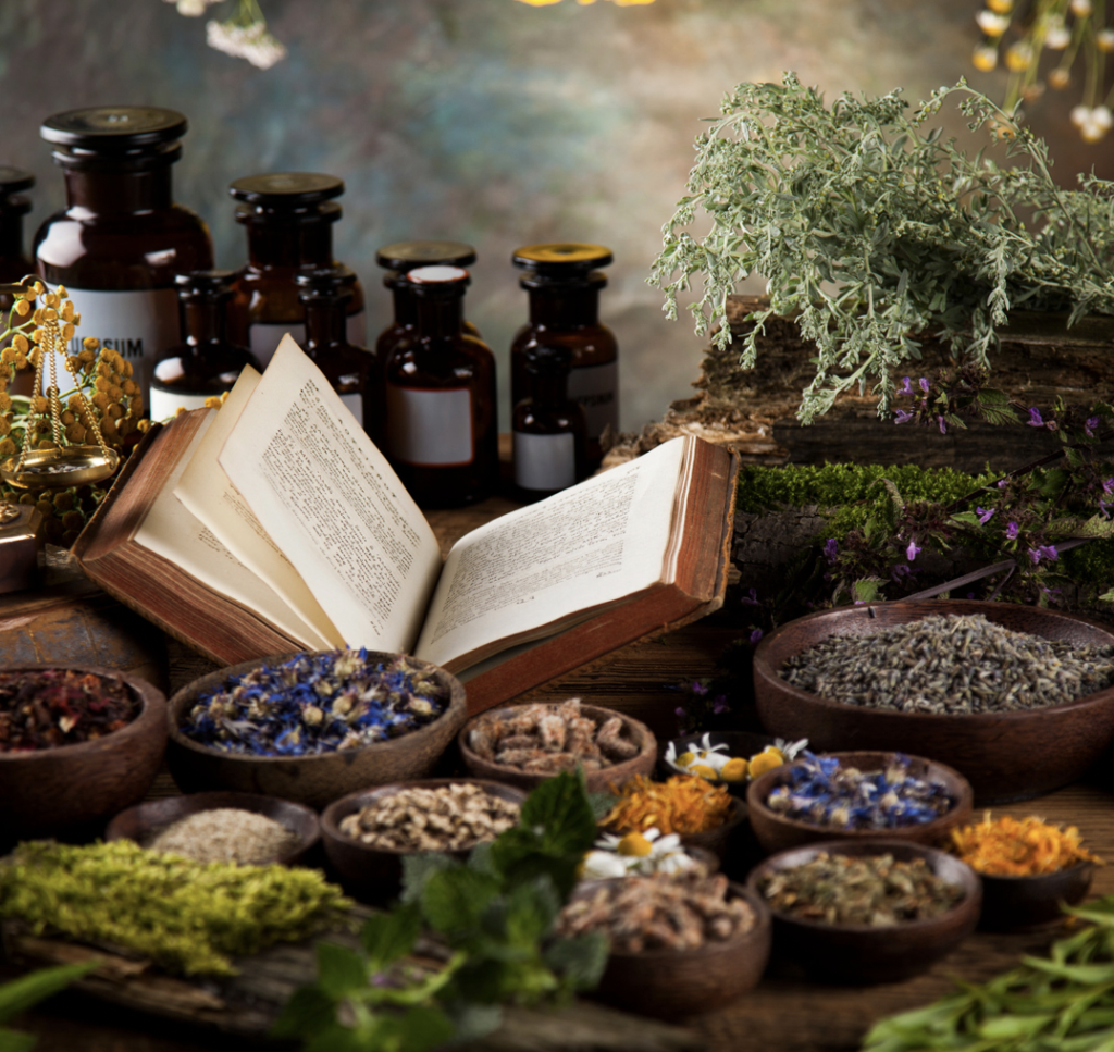 Herbal Path Discount – Mary Blue ~ Online Herb School